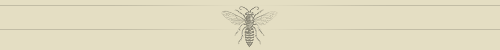 Bee Bar